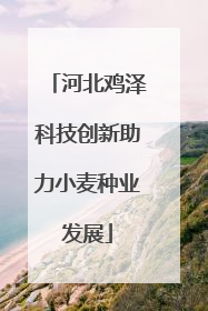 河北鸡泽科技创新助力小麦种业发展