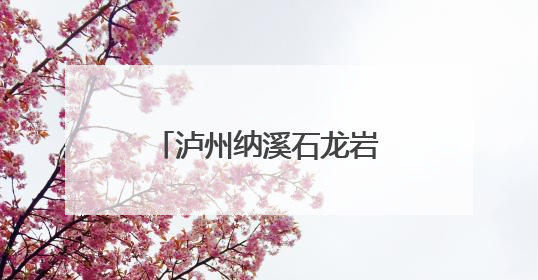泸州纳溪石龙岩码头迈入万吨级船舶作业时代
