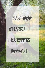 法护蓓蕾静待花开 司法育苗情暖童心