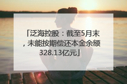 泛海控股：截至5月末，未能按期偿还本金余额328.13亿元