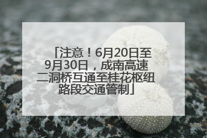 注意！6月20日至9月30日，成南高速二洞桥互通至桂花枢纽路段交通管制