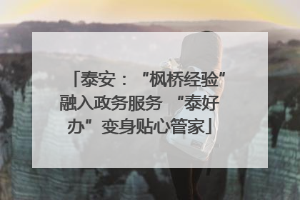 泰安：“枫桥经验”融入政务服务 “泰好办”变身贴心管家