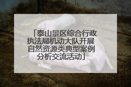 泰山景区综合行政执法局机动大队开展自然资源类典型案例分析交流活动