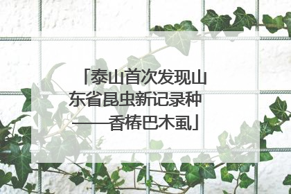 泰山首次发现山东省昆虫新记录种——香椿巴木虱