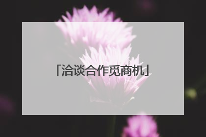 洽谈合作觅商机
