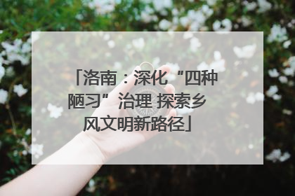洛南：深化“四种陋习”治理 探索乡风文明新路径