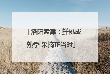 洛阳孟津：鲜桃成熟季 采摘正当时