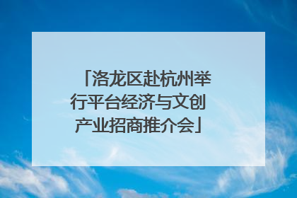 洛龙区赴杭州举行平台经济与文创产业招商推介会
