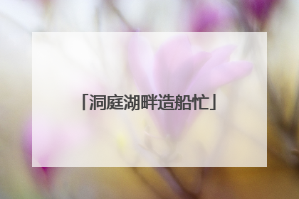洞庭湖畔造船忙