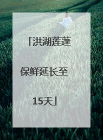 洪湖莲蓬保鲜延长至15天