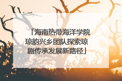 海南热带海洋学院琼韵兴乡团队探索琼剧传承发展新路径