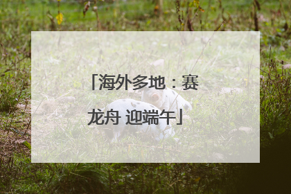 海外多地：赛龙舟 迎端午