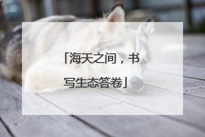 海天之间，书写生态答卷