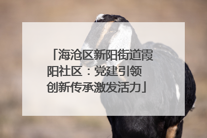 海沧区新阳街道霞阳社区：党建引领 创新传承激发活力