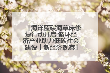 海洋蓝碳海草床修复行动开启 循环经济产业助力低碳社会建设丨新经济观察