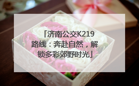 济南公交K219路线：奔赴自然，解锁多彩郊野时光