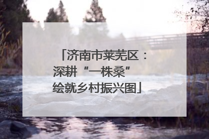济南市莱芜区：深耕“一株桑” 绘就乡村振兴图