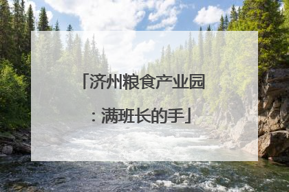 济州粮食产业园：满班长的手