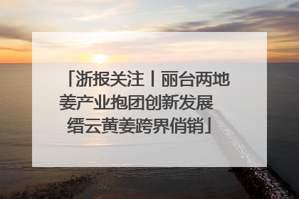 浙报关注丨丽台两地姜产业抱团创新发展 缙云黄姜跨界俏销