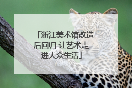 浙江美术馆改造后回归 让艺术走进大众生活