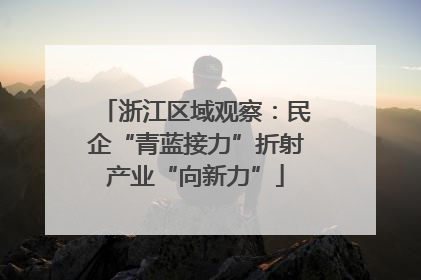 浙江区域观察：民企“青蓝接力”折射产业“向新力”