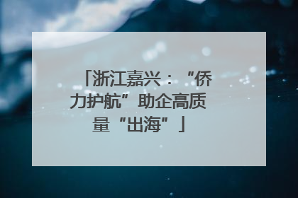 浙江嘉兴：“侨力护航”助企高质量“出海”