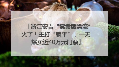 浙江安吉“窝囊版漂流”火了！主打“躺平”，一天爆卖近40万元门票