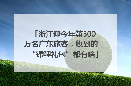 浙江迎今年第500万名广东旅客，收到的“锦鲤礼包”都有啥