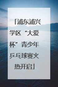 浦东浦兴学区“大爱杯”青少年乒乓球赛火热开启