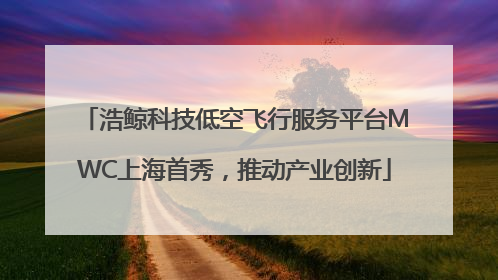 浩鲸科技低空飞行服务平台MWC上海首秀，推动产业创新