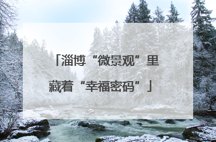 淄博“微景观”里藏着“幸福密码”