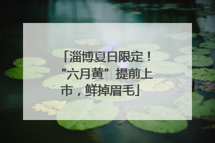 淄博夏日限定！“六月黄”提前上市，鲜掉眉毛