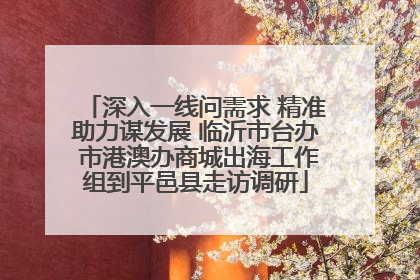深入一线问需求 精准助力谋发展 临沂市台办 市港澳办商城出海工作组到平邑县走访调研