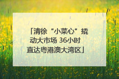 清徐“小菜心”撬动大市场 36小时直达粤港澳大湾区