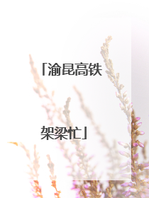 渝昆高铁架梁忙