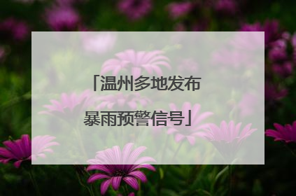 温州多地发布暴雨预警信号