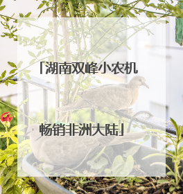 湖南双峰小农机畅销非洲大陆
