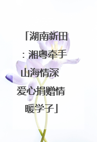 湖南新田：湘粤牵手山海情深 爱心捐赠情暖学子