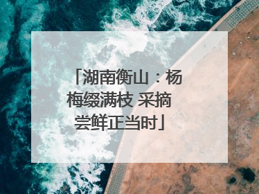 湖南衡山：杨梅缀满枝 采摘尝鲜正当时