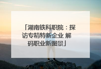 湖南铁科职院：探访专精特新企业 解码职业新图景