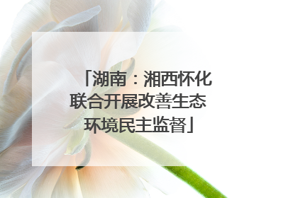湖南：湘西怀化联合开展改善生态环境民主监督