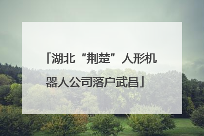 湖北“荆楚”人形机器人公司落户武昌