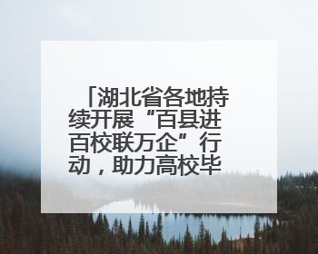 湖北省各地持续开展“百县进百校联万企”行动，助力高校毕业生就业