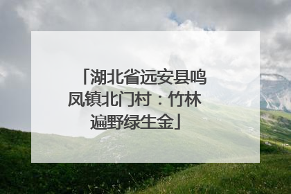 湖北省远安县鸣凤镇北门村：竹林遍野绿生金