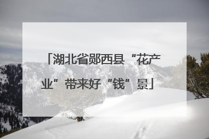 湖北省郧西县“花产业”带来好“钱”景