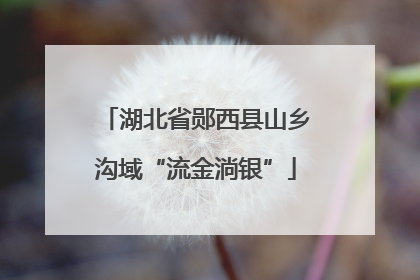 湖北省郧西县山乡沟域“流金淌银”
