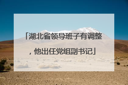 湖北省领导班子有调整，他出任党组副书记