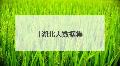 湖北大数据集团正式成立