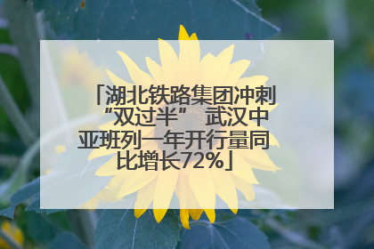 湖北铁路集团冲刺“双过半” 武汉中亚班列一年开行量同比增长72%