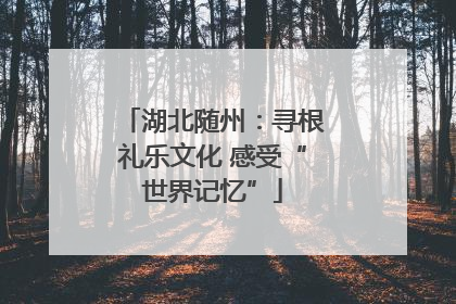 湖北随州：寻根礼乐文化 感受“世界记忆”